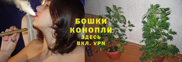 хмурый Волосово