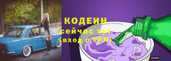 сатива Волоколамск