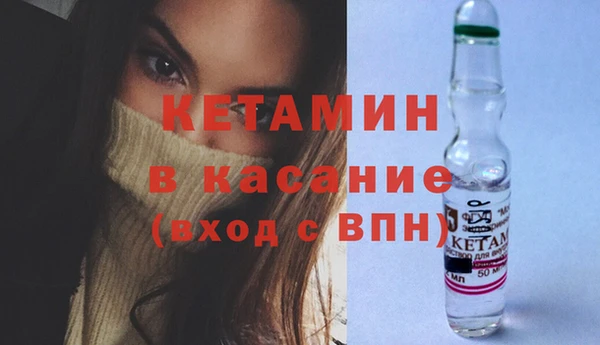 сатива Волоколамск
