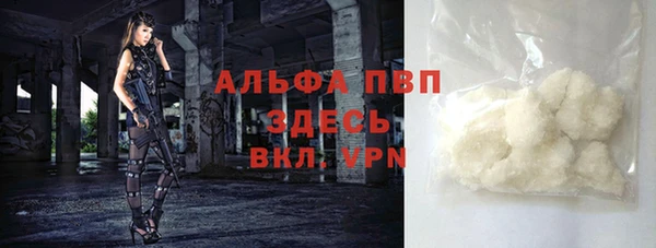 сатива Волоколамск