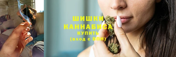 сатива Волоколамск