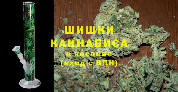 сатива Волоколамск