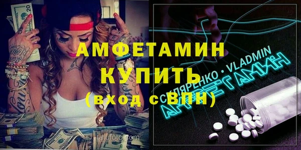 сатива Волоколамск