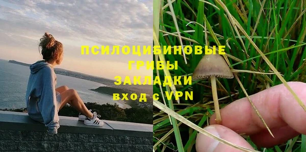 хмурый Волосово