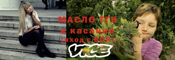 сатива Волоколамск
