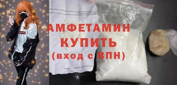 сатива Волоколамск